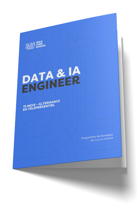 Data & IA Engineer