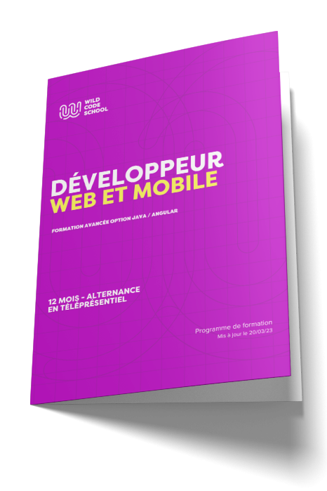 devwebmobile